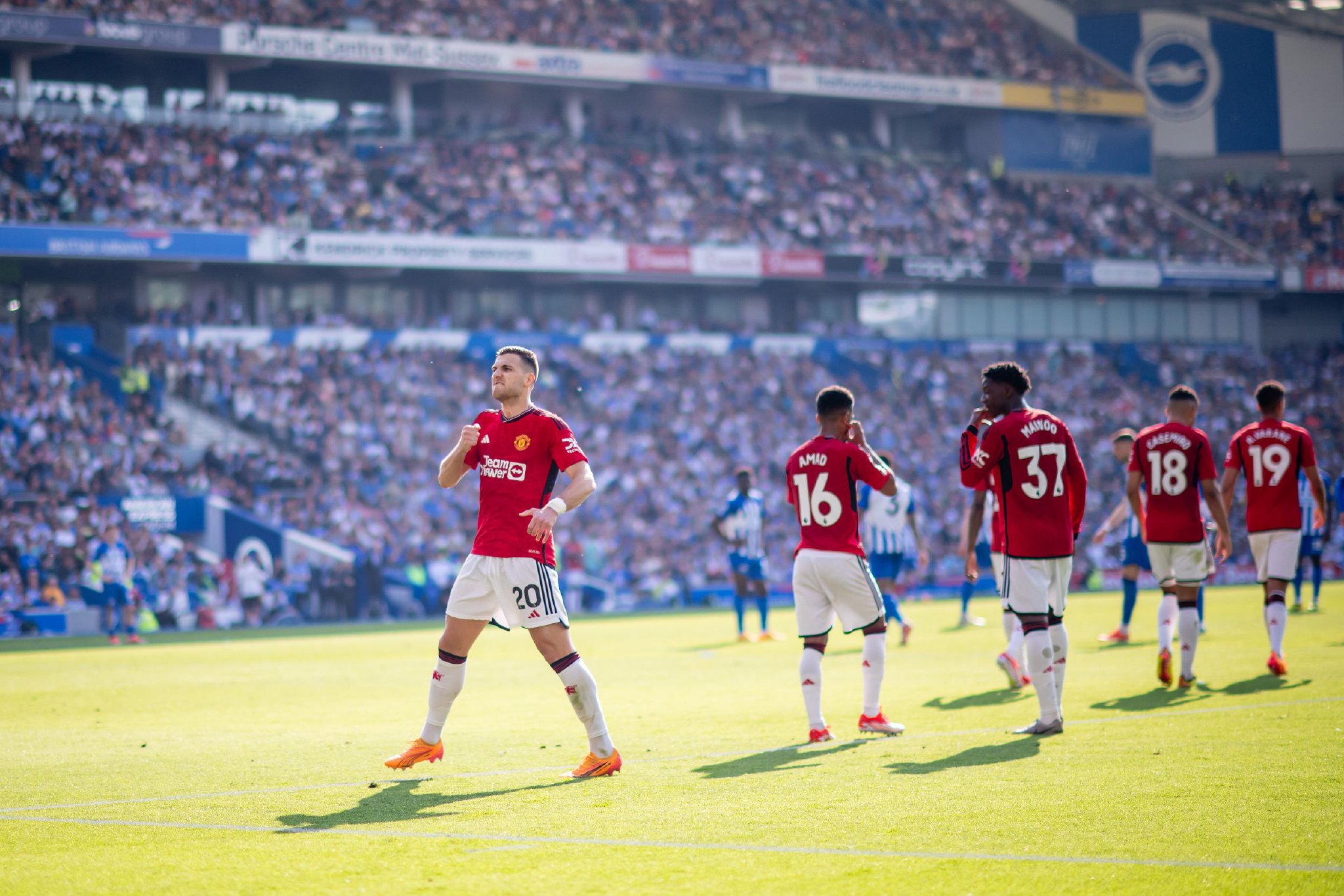 的年轻球员 的年轻球员